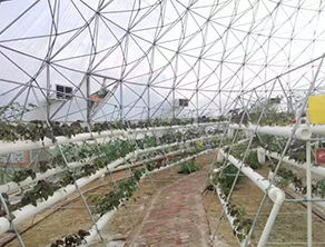 生態(tài)種植基地通風降溫案例